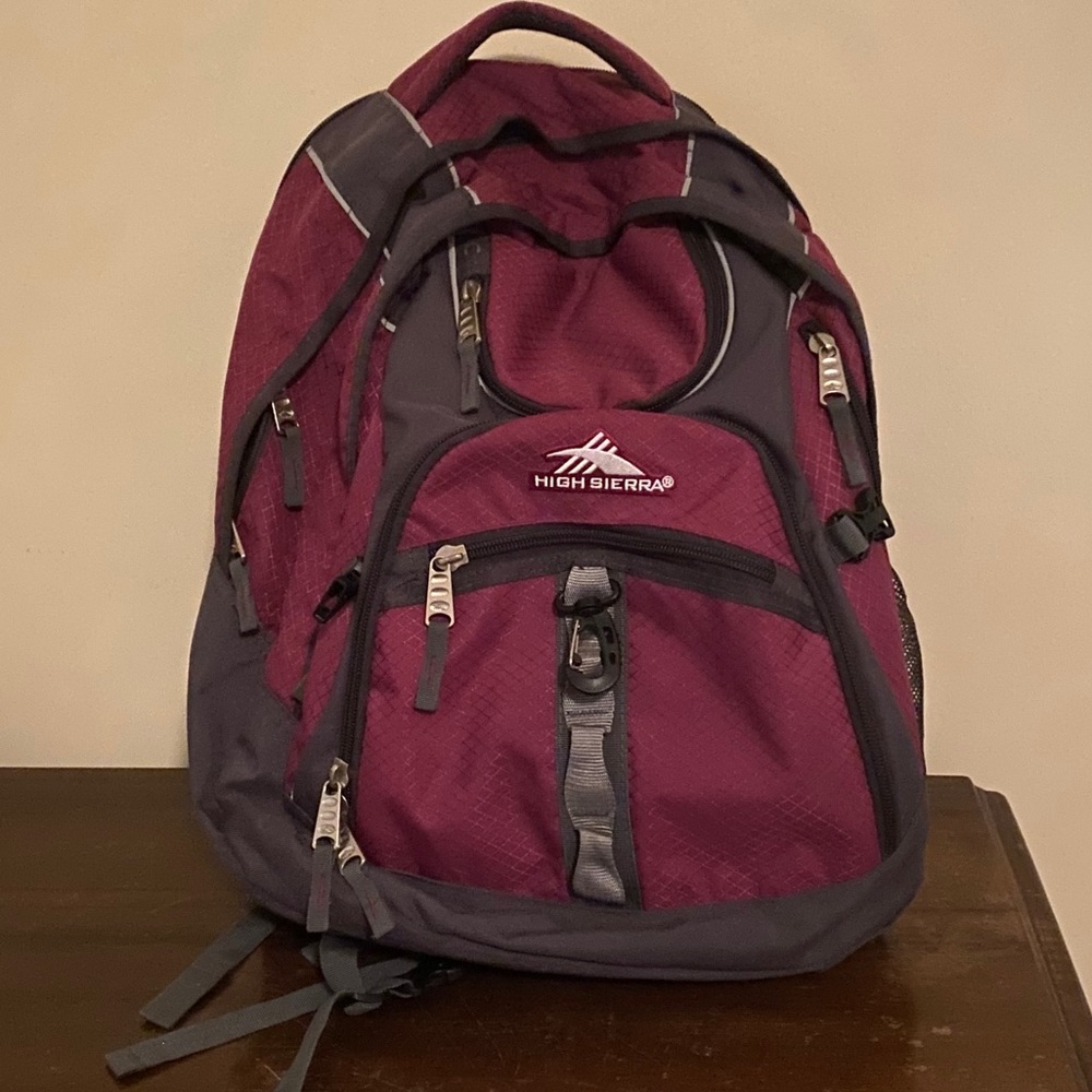High Sierra Access Backpack